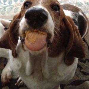 Meet your Posher, E jean gallagher